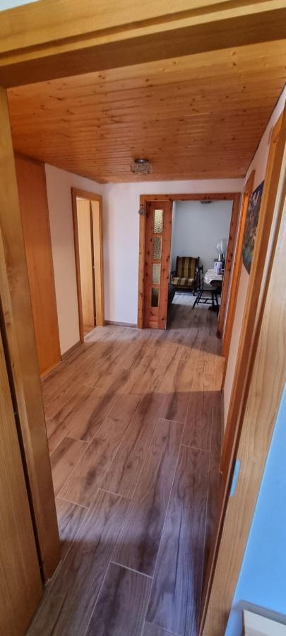 Le Panorama - Appartement 54 A Arolla Face Aux Montagnes A 150M Des Pistes Evolène Exteriér fotografie