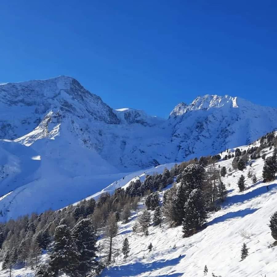 Le Panorama - Appartement 54 A Arolla Face Aux Montagnes A 150M Des Pistes Evolène Exteriér fotografie