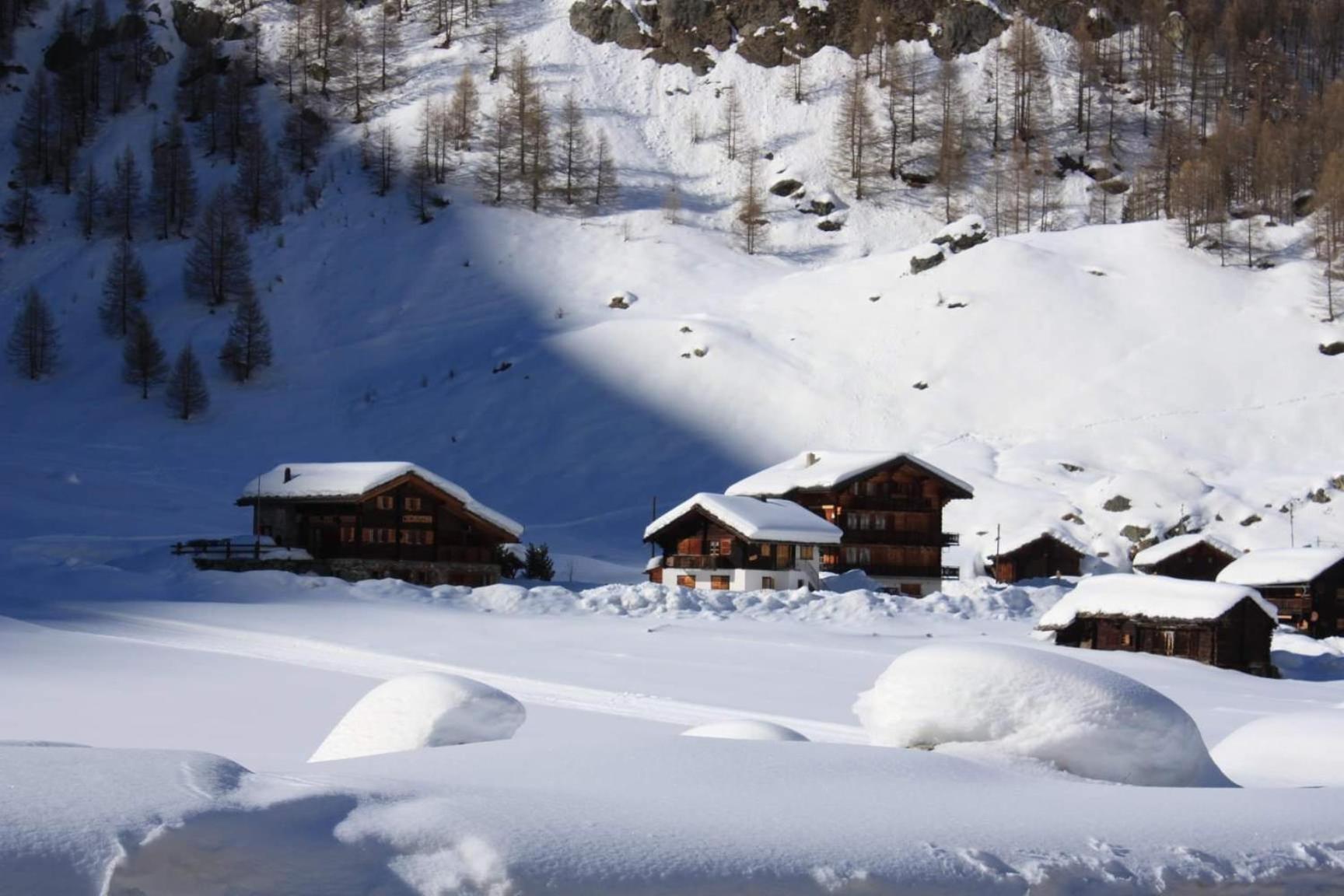 Le Panorama - Appartement 54 A Arolla Face Aux Montagnes A 150M Des Pistes Evolène Exteriér fotografie